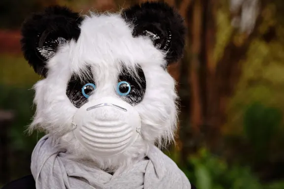 NoxWin Casino Soporte